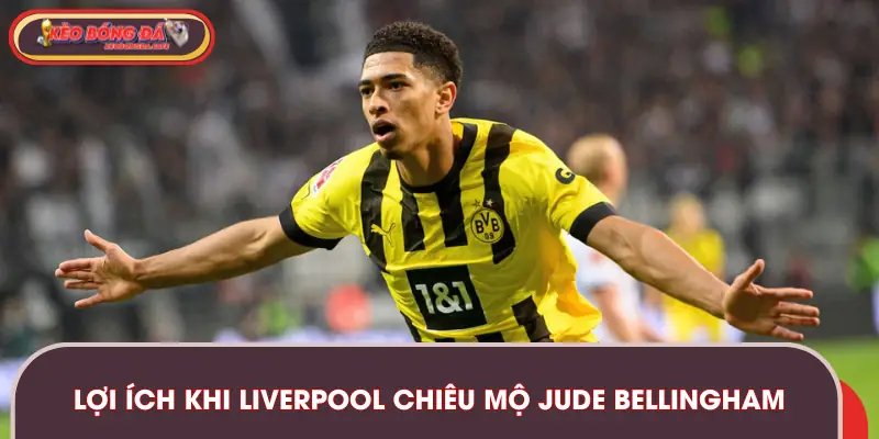 Ưu điểm của việc Liverpool chiêu mộ Jude Bellingham